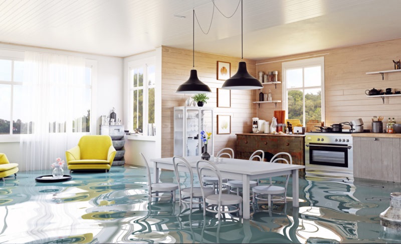 Shield Your Space: Practical Steps For Water Damage Mitigation And Recovery