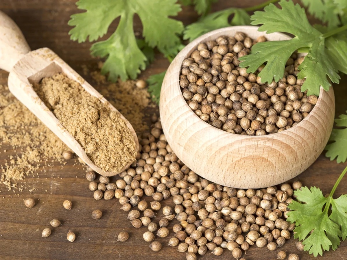 What Are Some Mulching Tips for Coriander Seeds in Your Garden?